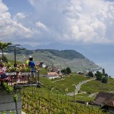 Environ 250 vignerons ont ouvert les portes de leurs caves ou de leurs terrasses, comme ici à Grandvaux.